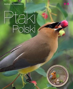 Obrazek Ptaki Polski część 2 z płytą CD