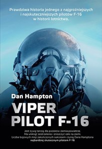 Picture of Viper Pilot F-16
