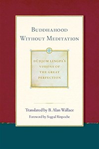 Picture of Buddhahood without Meditation (Dudjom Lingpa's Visions of the Great Per, Band 2)