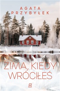 Picture of Zima, kiedy wróciłeś