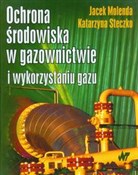 Ochrona śr... - Jacek Molenda, Katarzyna Steczko -  Polish Bookstore 