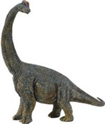 Dinozaur B... - Ksiegarnia w UK