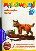 Malowanki ... -  foreign books in polish 