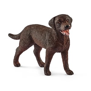 Obrazek Labrador Retrieve suczka