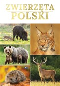 Zwierzęta ... - Opracowanie Zbiorowe -  books in polish 