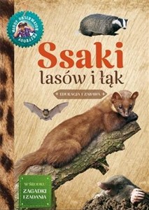 Picture of Ssaki lasów i łąk Młody Obserwator Przyrody
