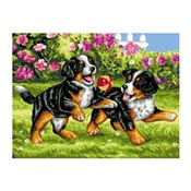 polish book : Diamentowa...