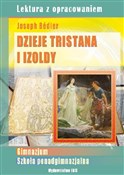 polish book : Dzieje Tri... - Agnieszka Nożyńska-Demianiuk