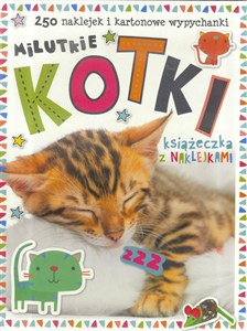 Obrazek Milutkie kotki Książeczka z 250 naklejkami