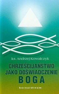 Picture of Chrześcijaństwo jako doświadczenie Boga