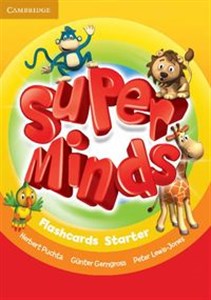 Obrazek Super Minds Starter Flashcards