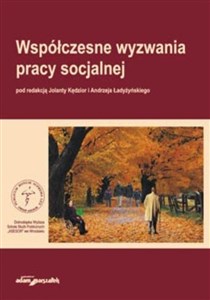 Picture of Współczesne wyzwania pracy socjalnej