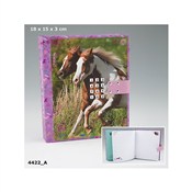 Książka : PAMIĘTNIK ...