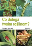 polish book : Co dolega ... - Steven Bradley