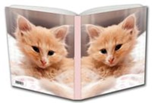 Picture of Notes Małe Kotki