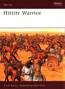Picture of Hittite Warrior