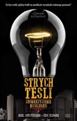 polish book : Strych Tes... - Neal Shusterman, Eric Elfman