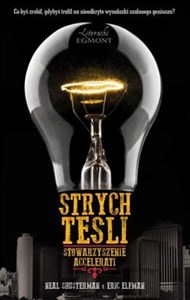 Picture of Strych Tesli
