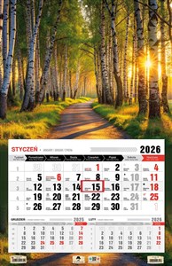 Picture of Kalendarz 2026 jednodzielny 3XL Las KTJ3 V20