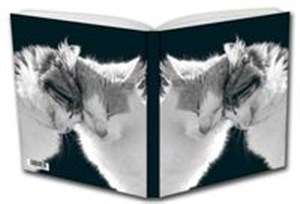 Picture of Notes Kotki