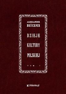 Obrazek Dzieje kultury polskiej Reprint wydania z 1931 r.