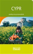 polish book : Cypr prakt... - Anna Szaleńcowa