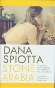 polish book : Stone Arab... - Dana Spiotta