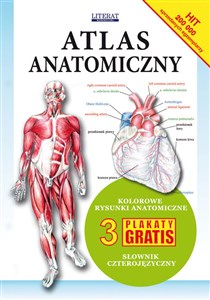 Obrazek Atlas anatomiczny 3 plakaty gratis