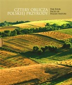 polish book : Cztery obl... - Tomasz Kłosowski