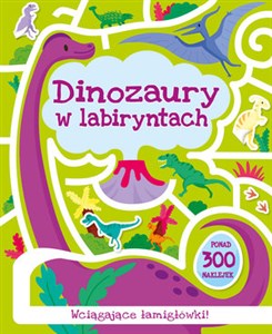 Picture of Dinozaury w labiryntach