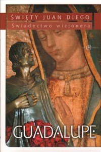 Picture of Guadalupe. Świadectwo Wizjonera