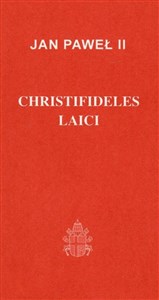 Picture of Christifideles laici