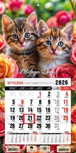 Obrazek Kalendarz 2026 trójdzielny jednodzielny mini z magnesem Kotki KTJ2 V36