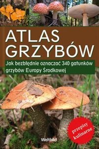 Obrazek Atlas grzybów Jak bezbłędnie oznaczać 340 gatunków grzybów Europy Środkowej