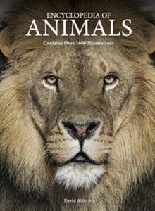 Picture of Encyclopedia of Animals