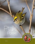 polish book : Ptaki Pols... - Andrzej G. Kruszewicz