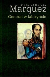 Picture of Generał w labiryncie