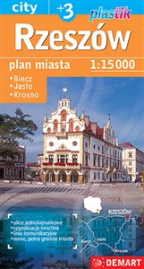 Obrazek Rzeszów plan miasta - plastik