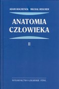 Anatomia c... - Adam Bochenek, Michał Reicher -  books from Poland