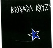 polish book : Brygada Kr... - Brygada Kryzys