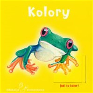 Picture of Kolory