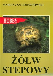 Picture of Żółw stepowy