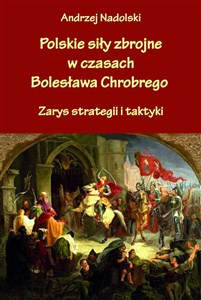 Picture of Polskie siły zbrojne w czasach Bolesława Chrobrego Zarys strategii i taktyki