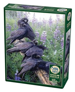 Picture of Puzzle 1000 Kruki na gałęzi