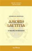 Adhortacja... - Papież Franciszek -  Polish Bookstore 