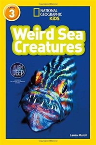 Obrazek Weird Sea Creatures