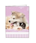 Książka : Notes gład...