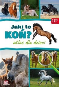 Picture of Jaki to koń? Atlas dla dzieci