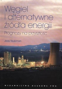 Picture of Węgiel i alternatywne źródła energii Prognozy na przyszłość