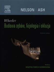 Picture of Wheeler Budowa zębów, fizjologia i okluzja
